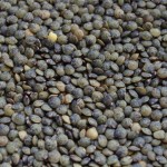 lentils de puy_1